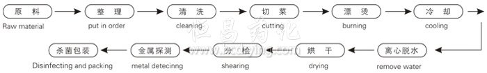 脫（tuō）水蔬（shū）菜帶式幹（gàn）燥（zào）工藝流程